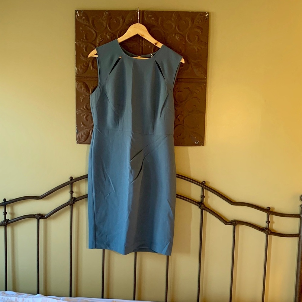 NWT The Limited Dress